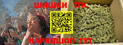 шишки Аргун