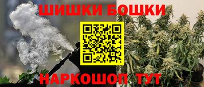шишки Аргун