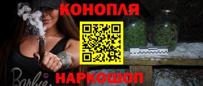 шишки Аргун